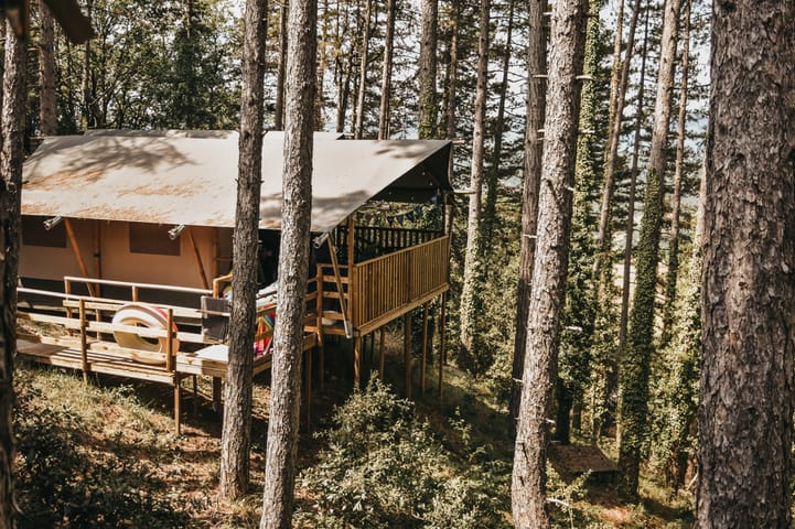Tenda safari tra gli alberi alti