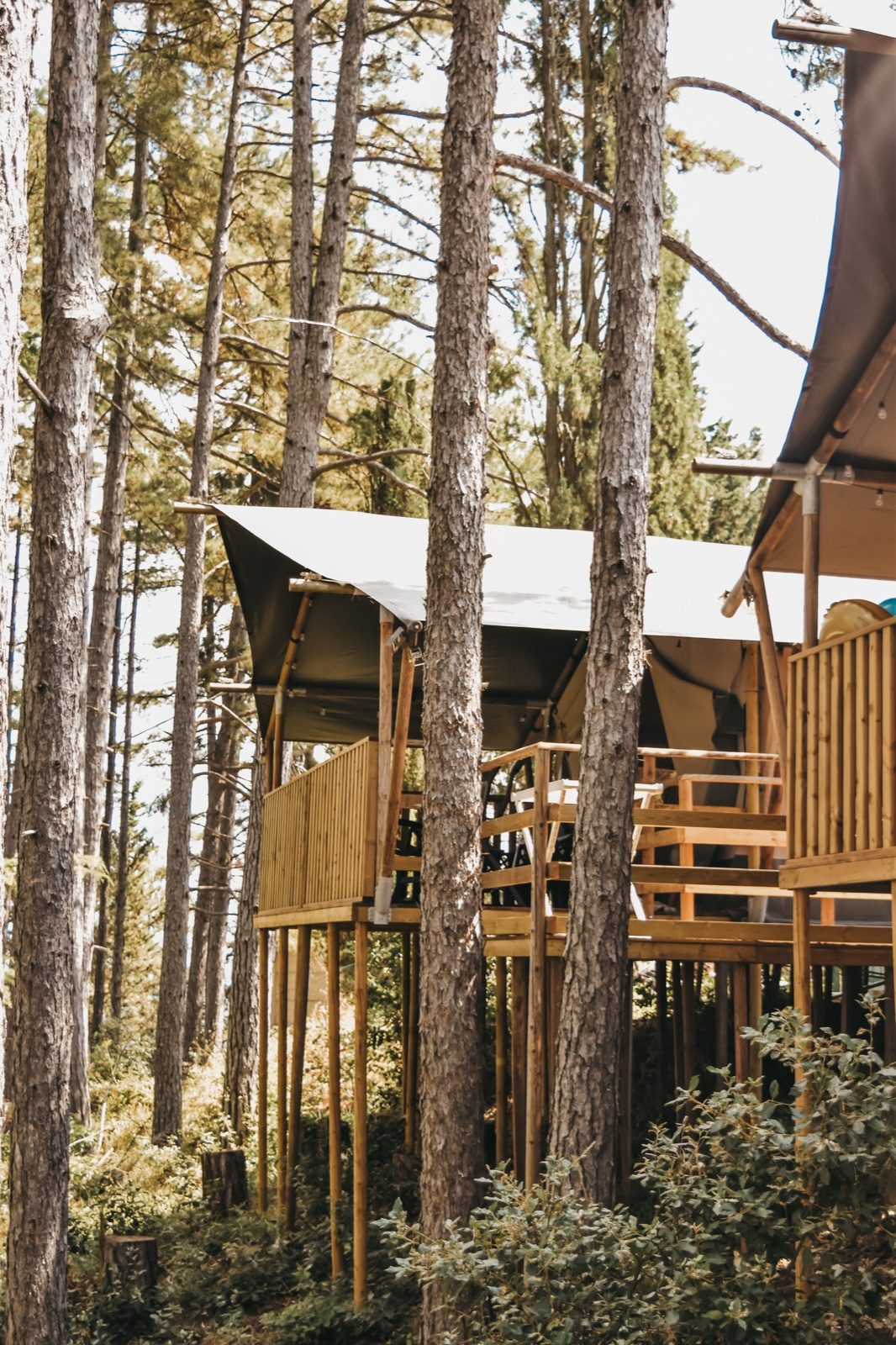 Tenda nel bosco con bagno privato